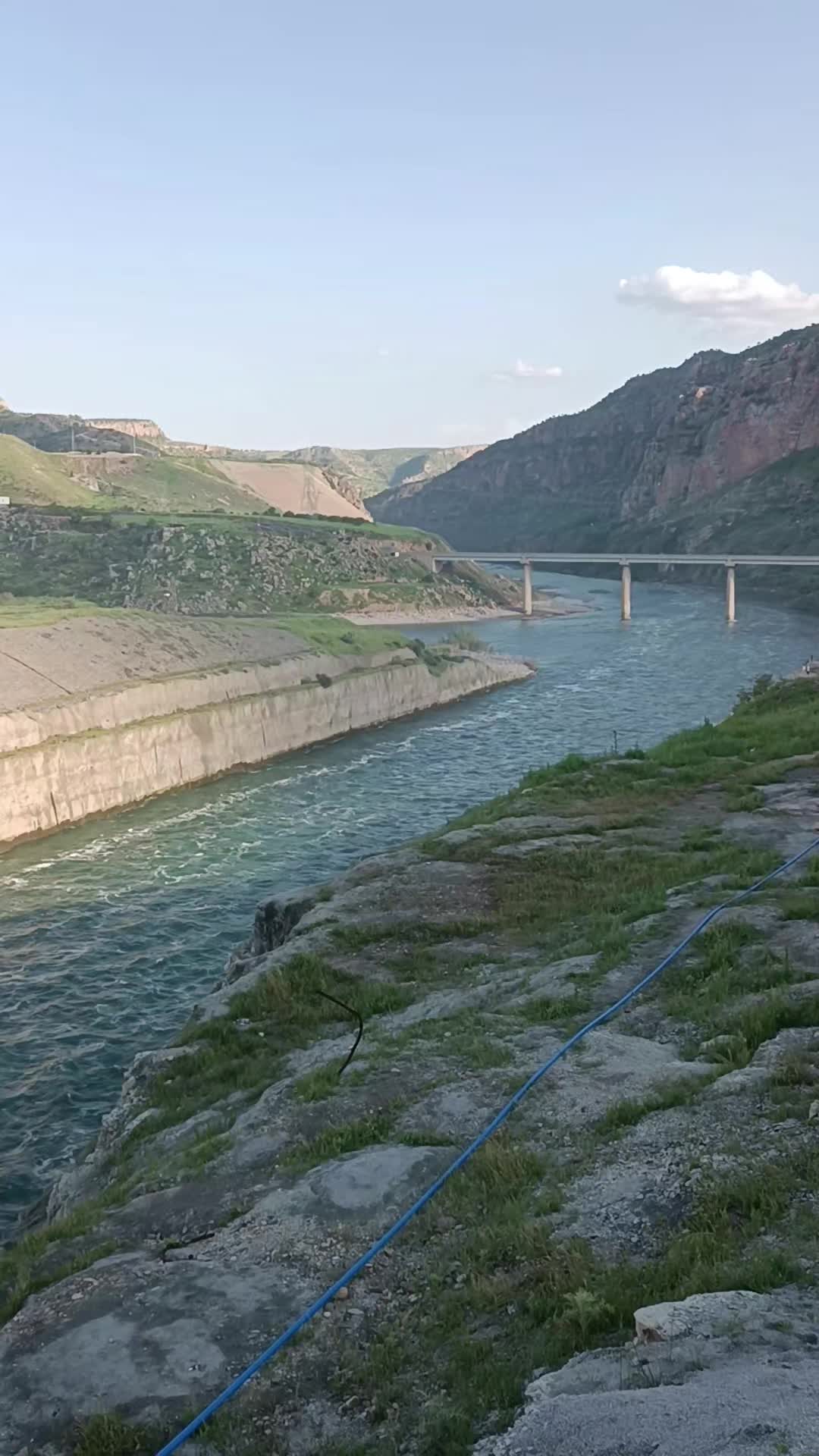 @47pamuklu şekerci