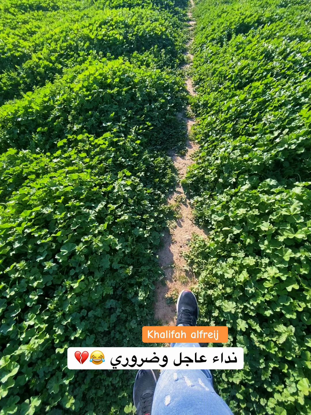 @أبن الجرية 📸