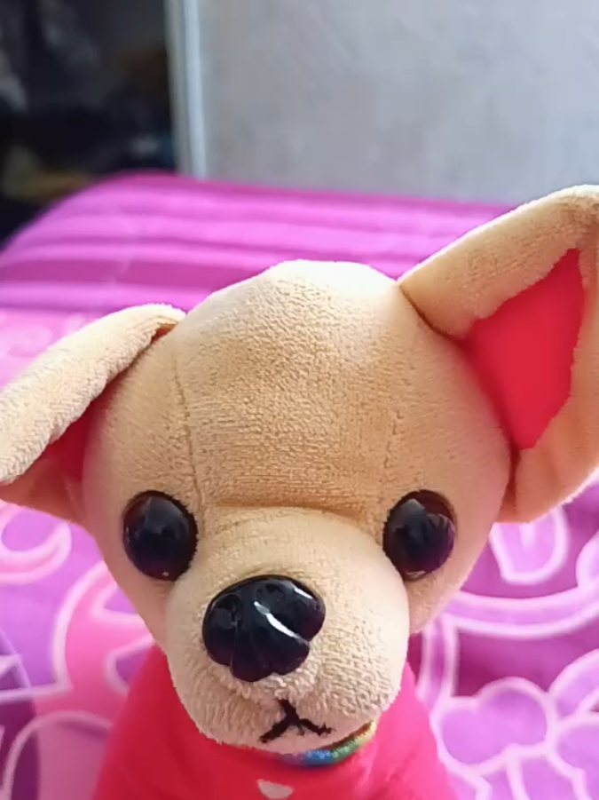 @ambicer98