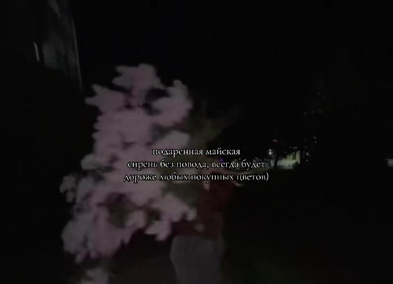 @Арьянка 🌙