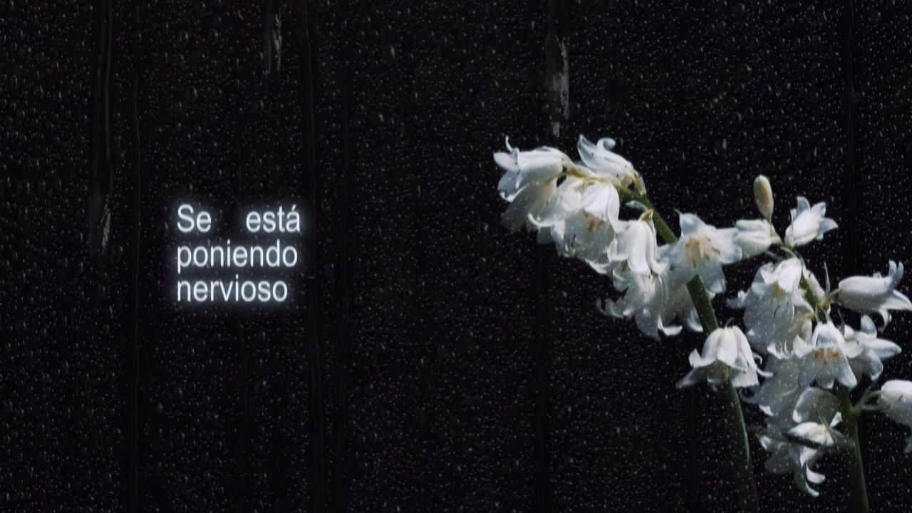 @Mathías