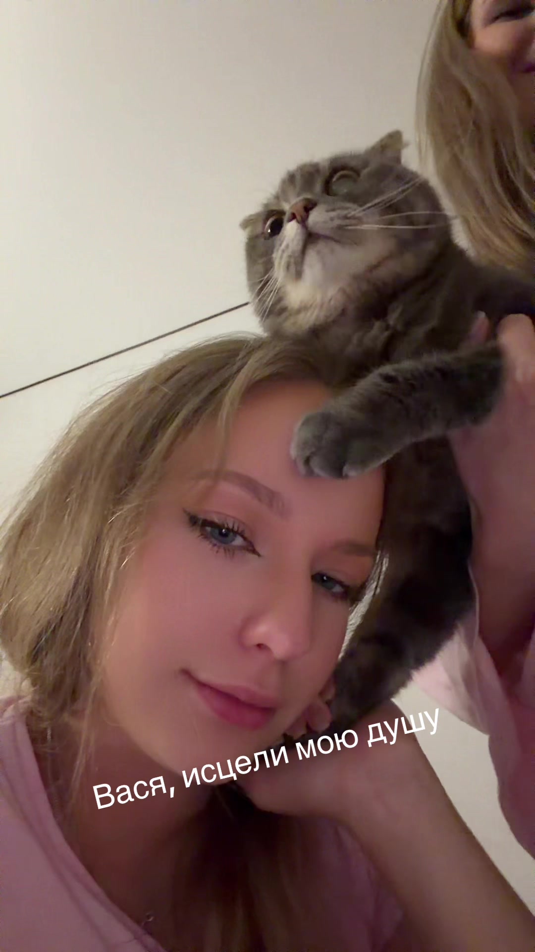 @тася