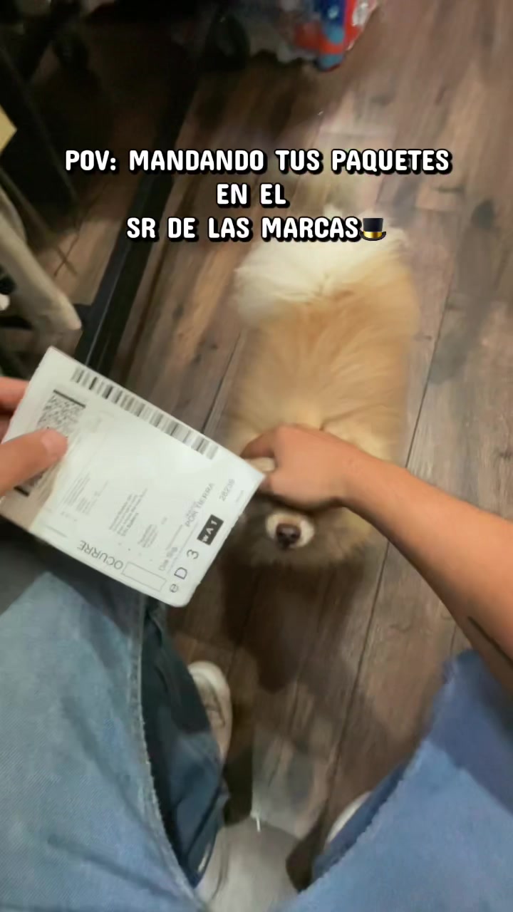 @EL SR DE LAS MARCAS