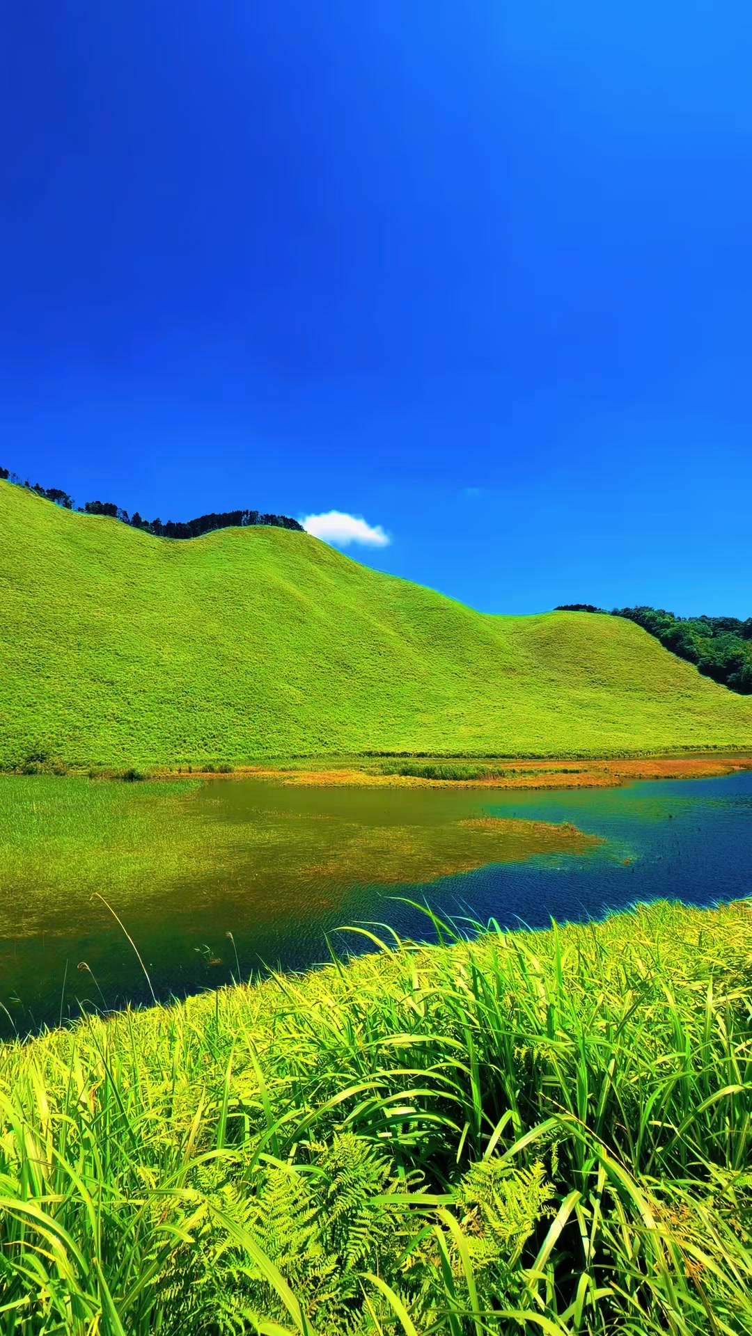 @Paru Chamling Rai