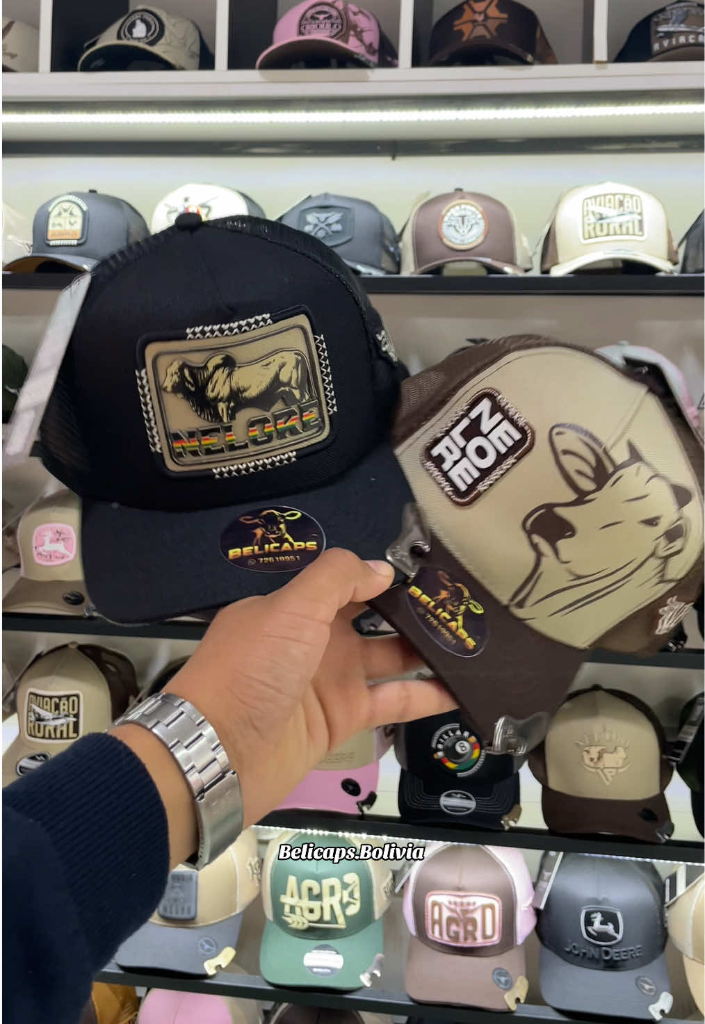 @BELICAPS🧿🧢