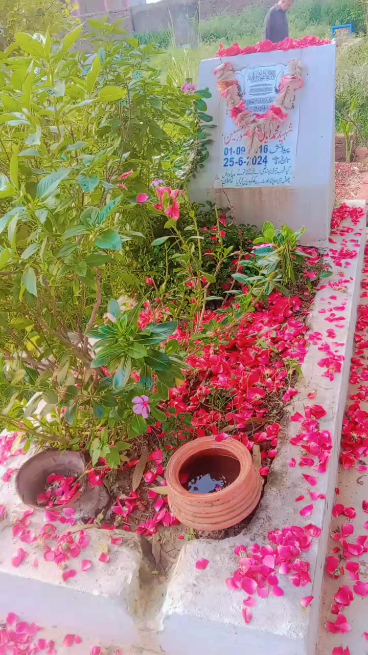 @Mohammad ayaan🌹❤️