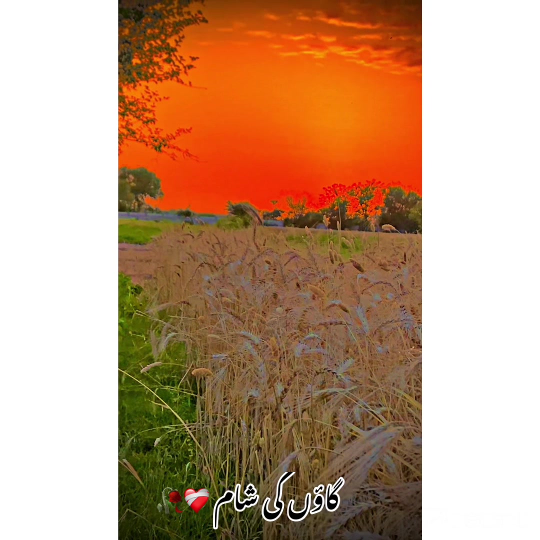 @⚜️عماد۔!۔واھلہ⚜️