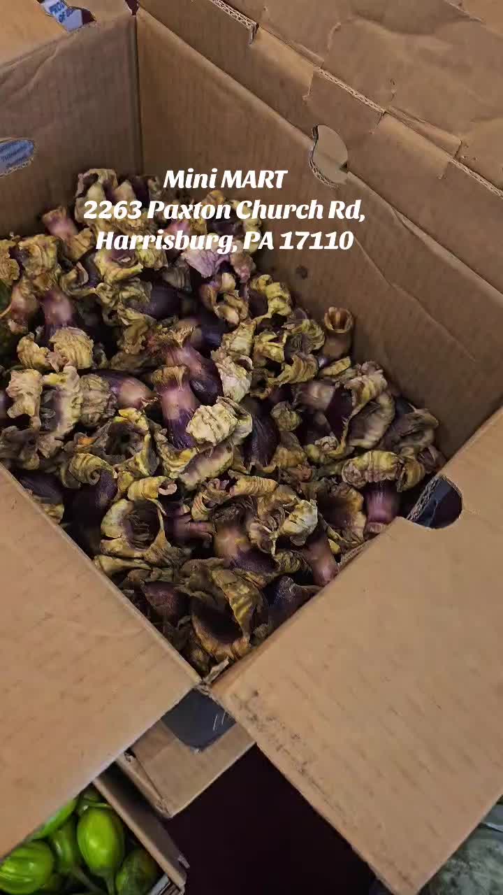 @Naina_🕊️🦋