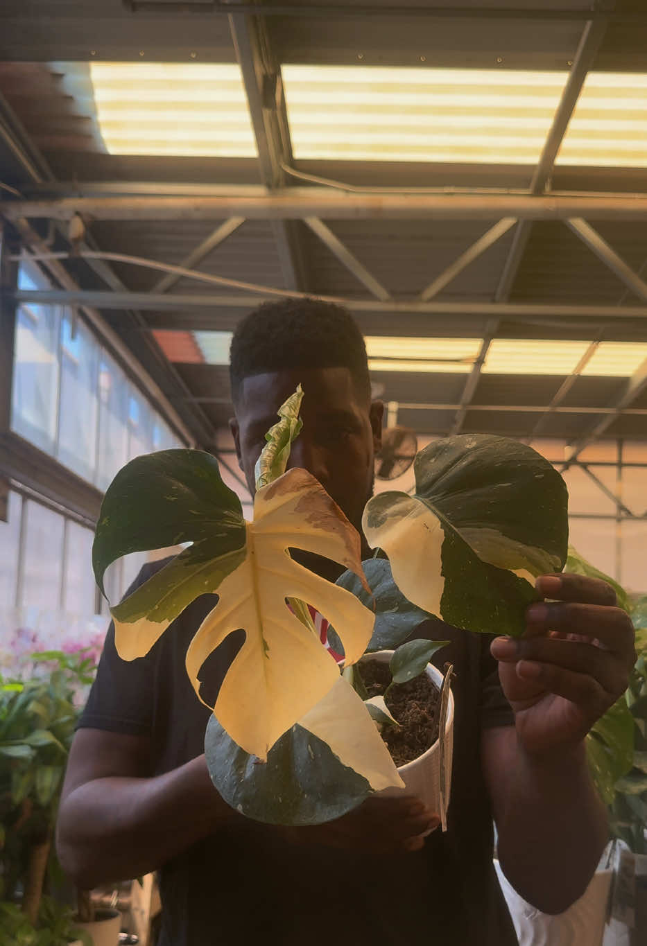 @Plant Deco ATL