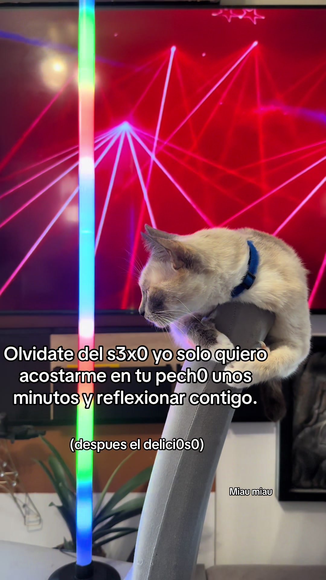 @Rodrigo and Watermelon the cat
