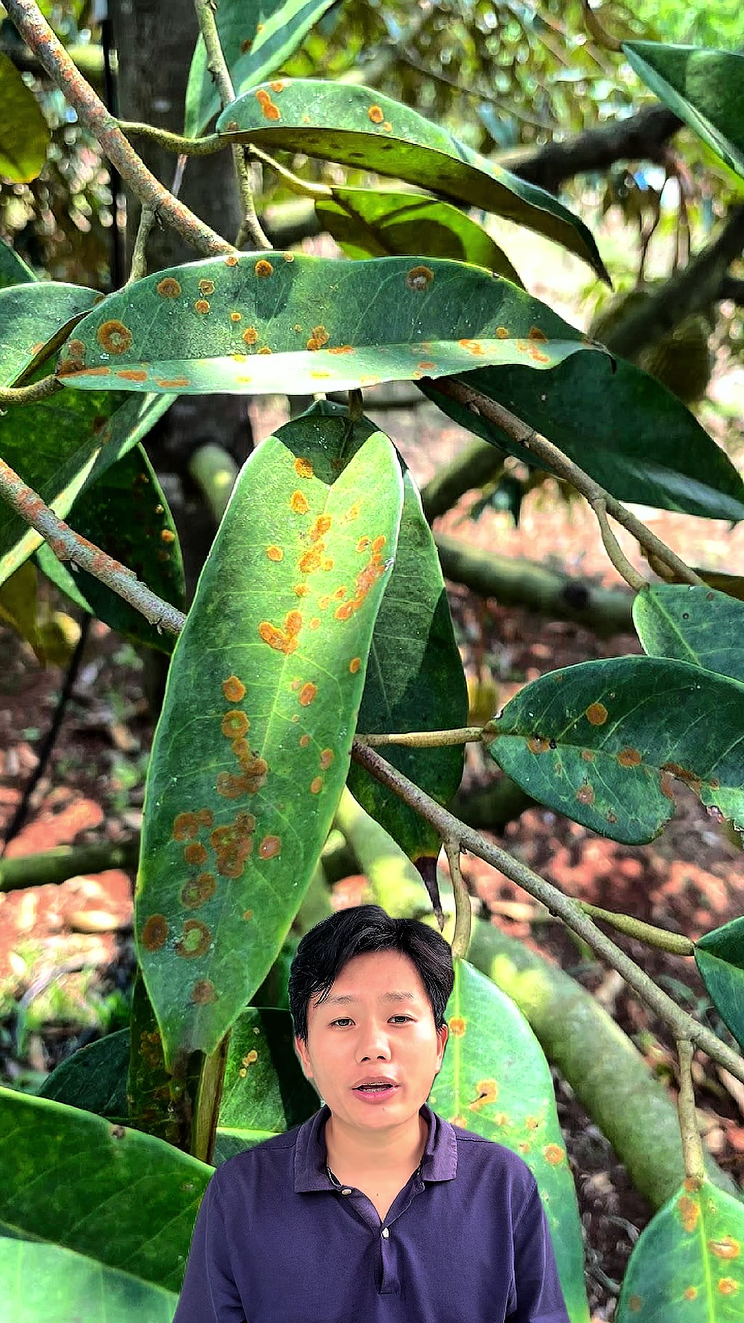 @Hộ Kinh Doanh Hào - Hưng