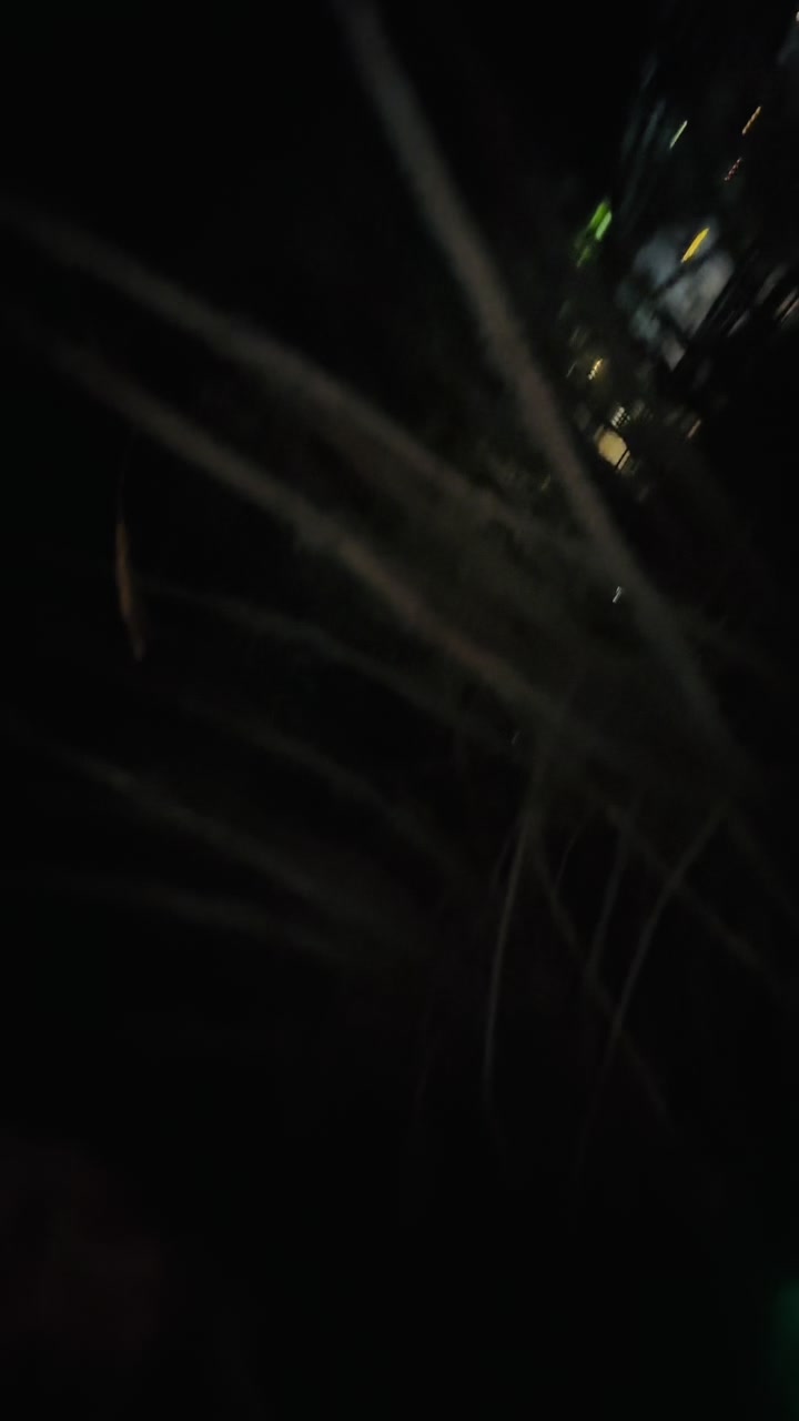 @𝔸𝕞𝕒𝕤𝕙𝕒(chiku)🥷