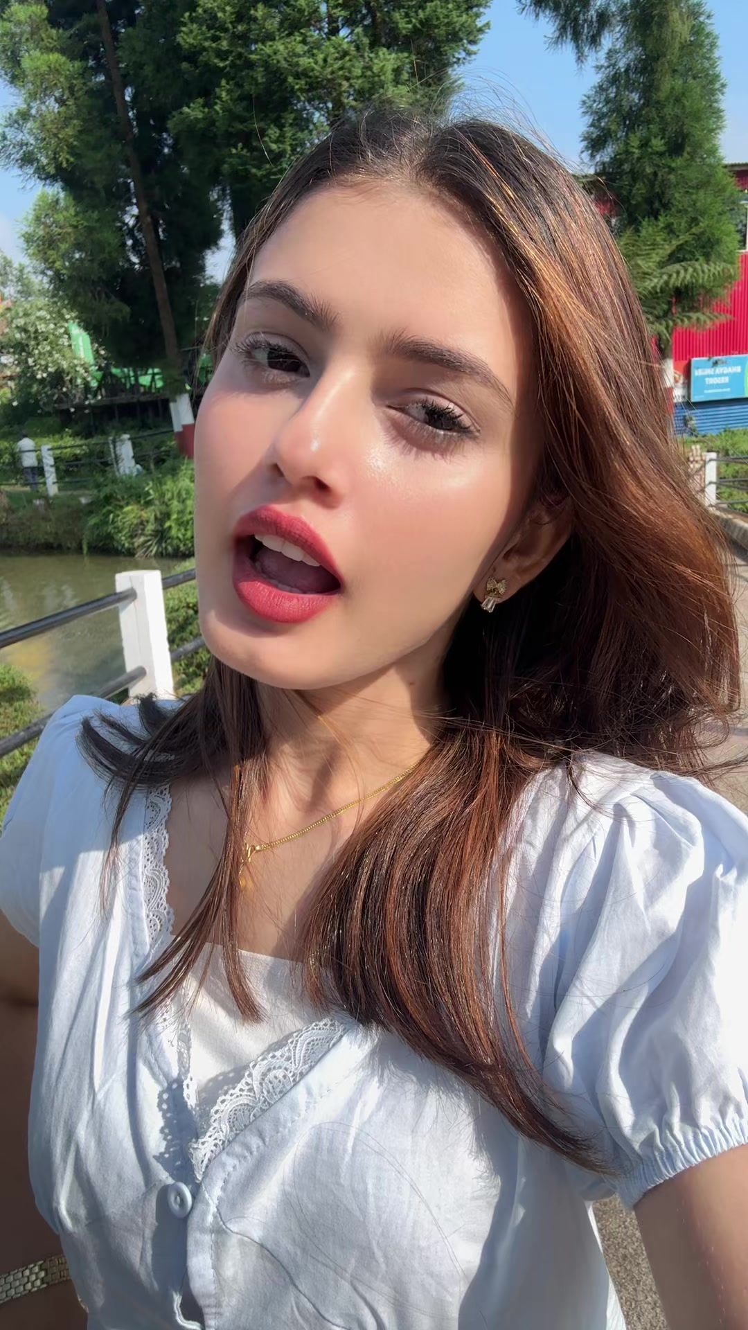 @Krisha Bhandari