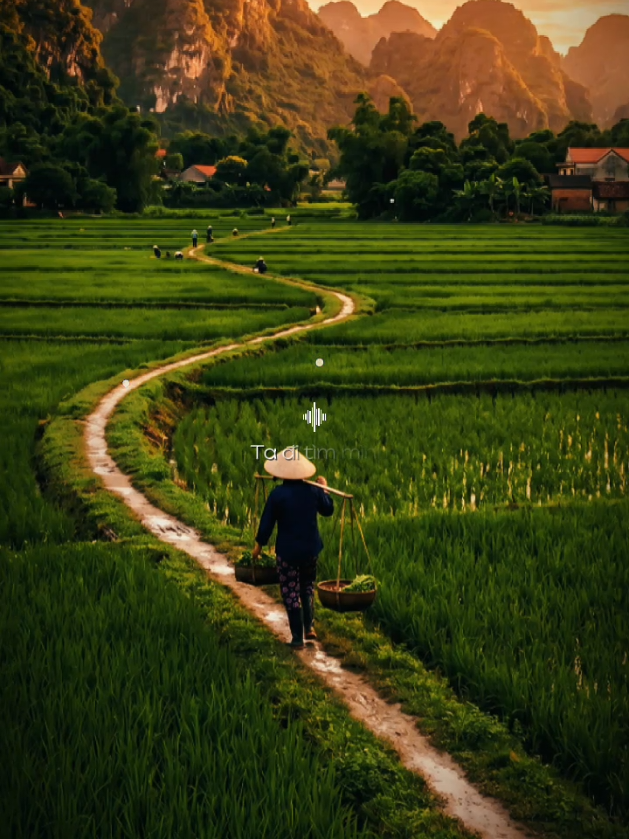 @CND GINSENG B&agrave; Rịa