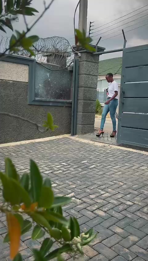 @Miss Timfa