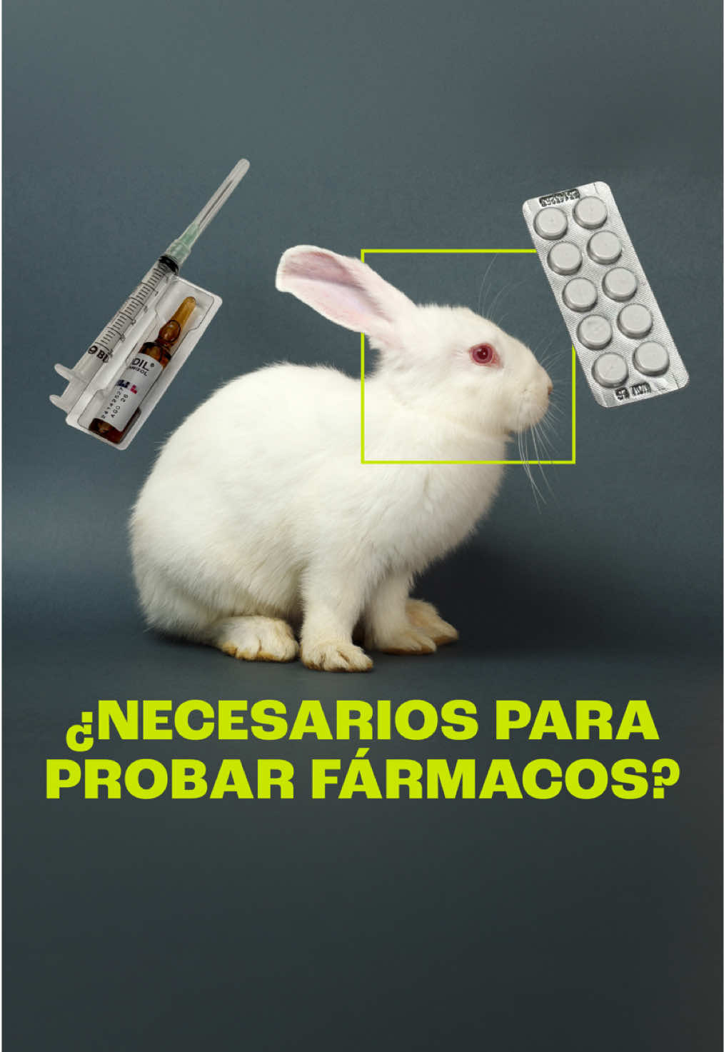 @nmásmedia