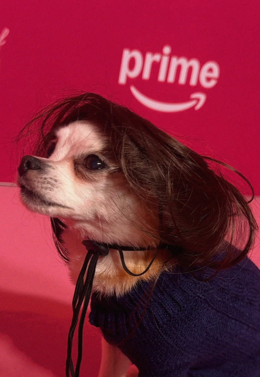 @Prime Video AU & NZ