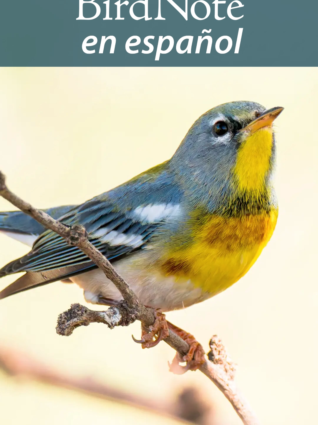 @BirdNote
