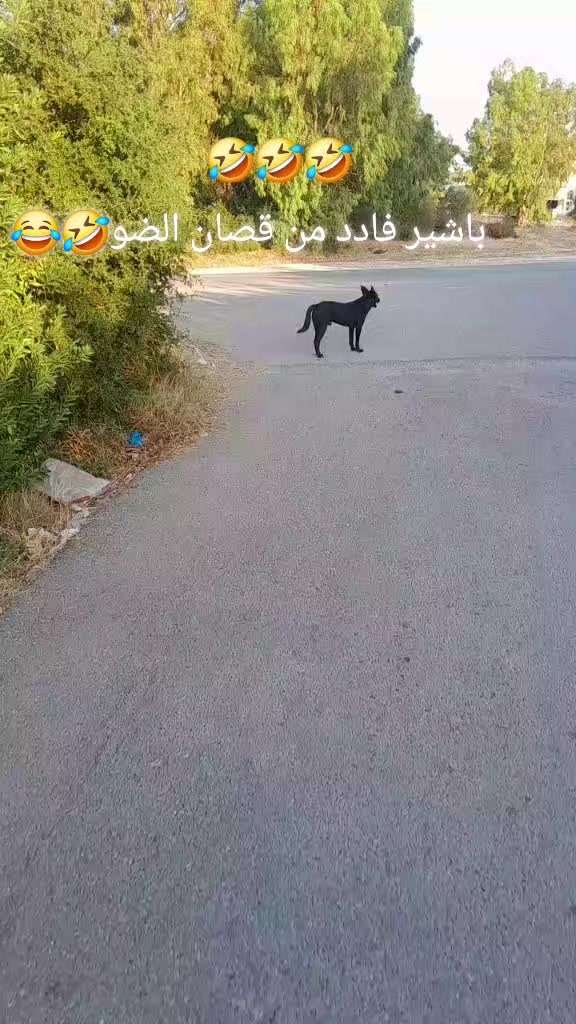 @๐ฅุดู
ุณ๐ฅ๐