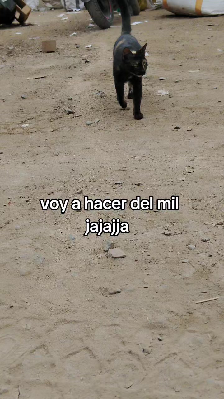 @BATALLAS DE MUÑECOS