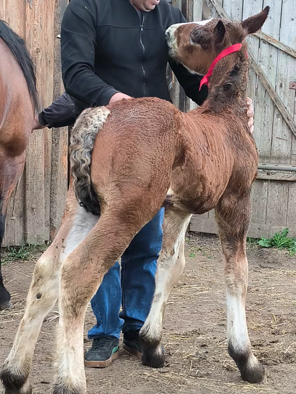 @ВАСЯ БОЙЧУК 🐎
