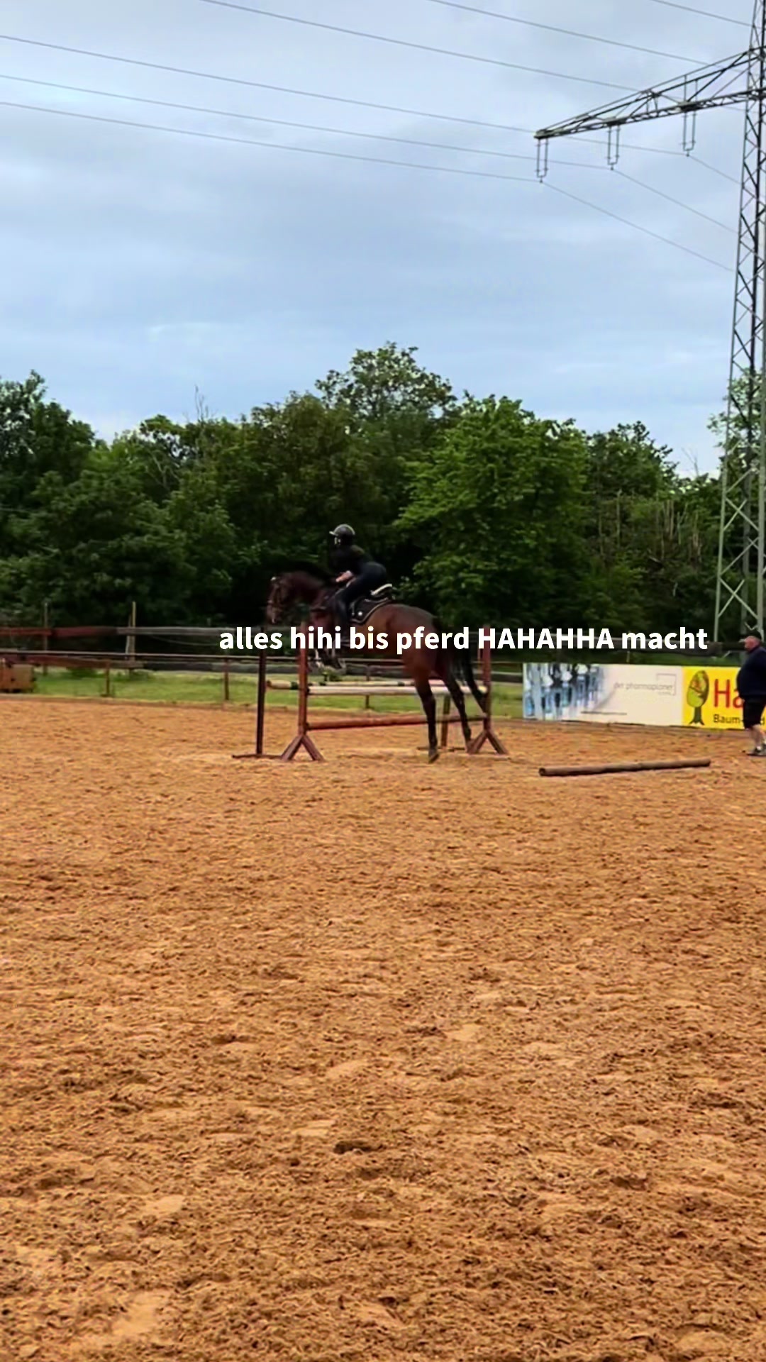 @Pauline