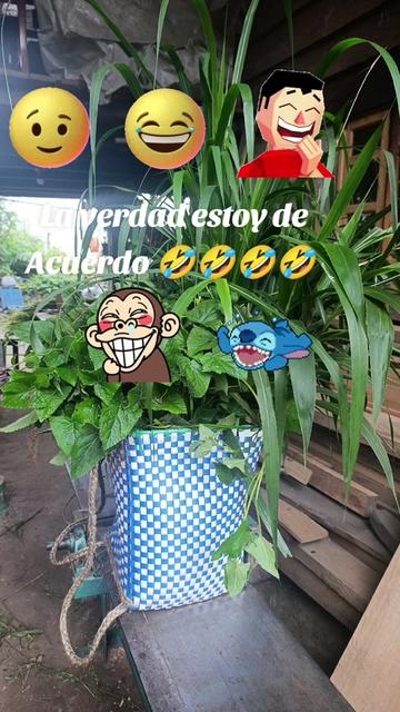 @Gardenia"S"