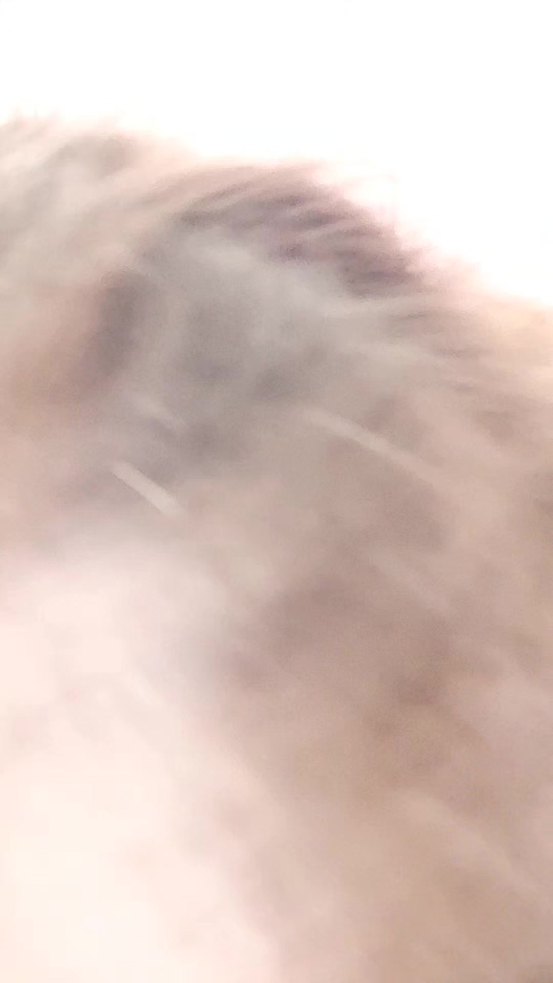 @°❀⋆𝐆𝐢𝐮𝐥𝐢𝐚.ೃ࿔*:・