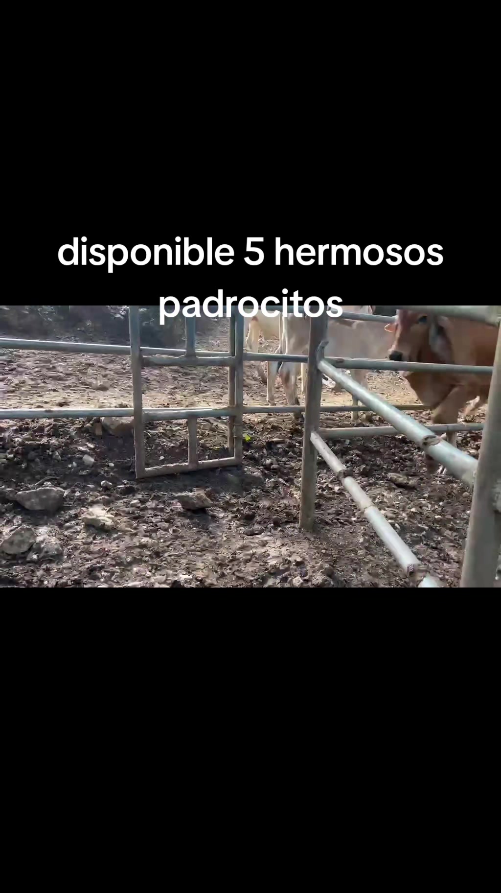 @maykel Mej&iacute;a
