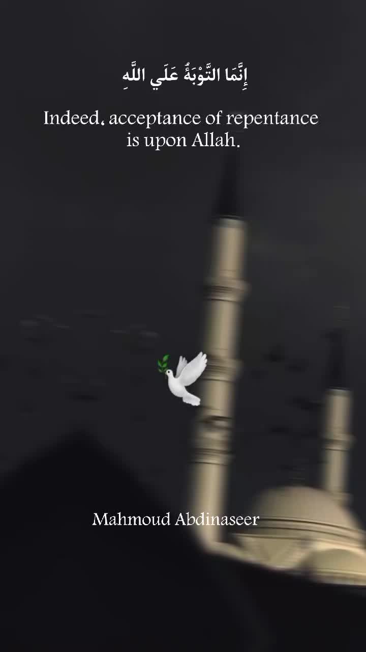 @Mahmoud Abdinaseer 🕊