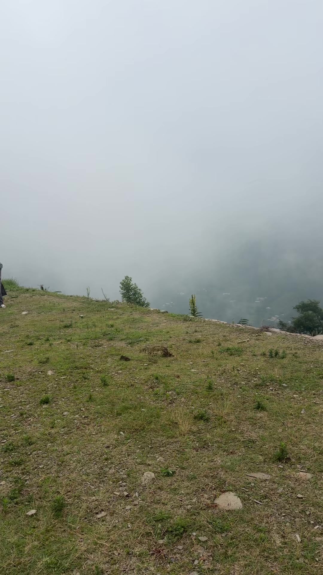@mehtab_shah786