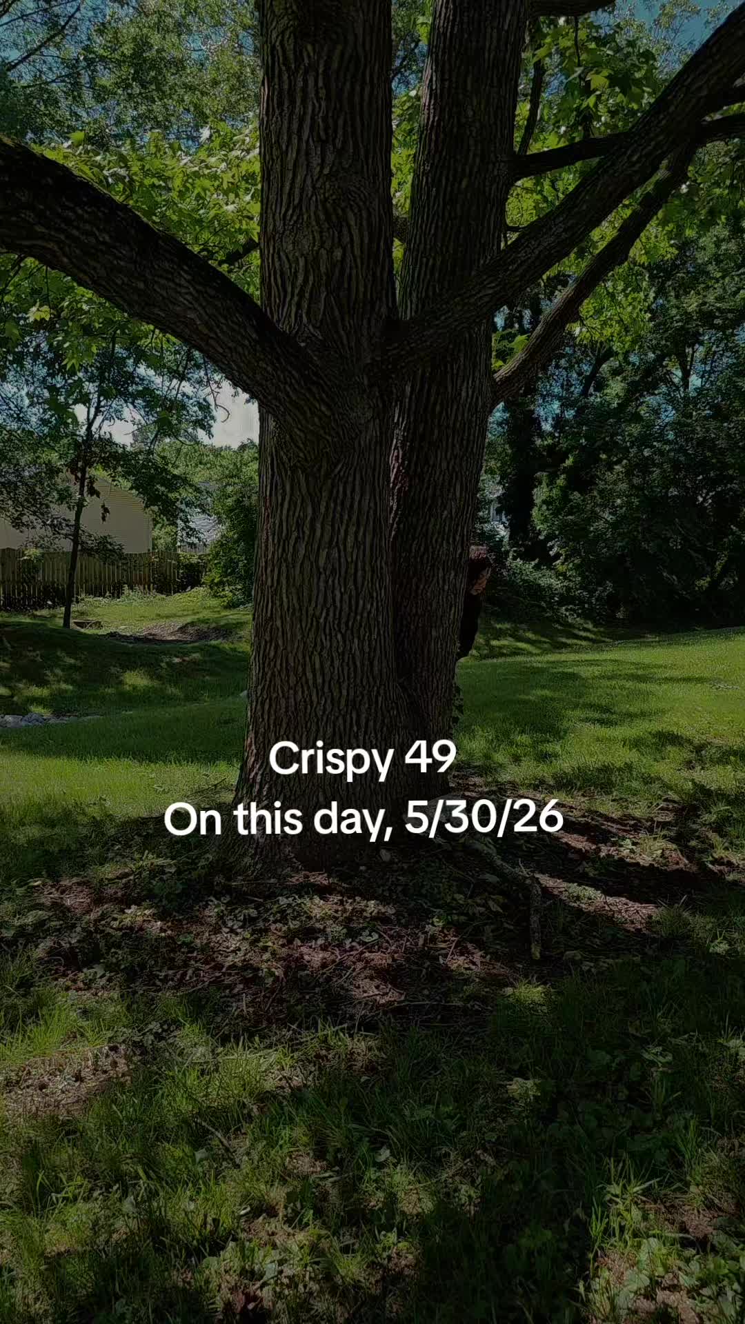 @crispycarol5911
