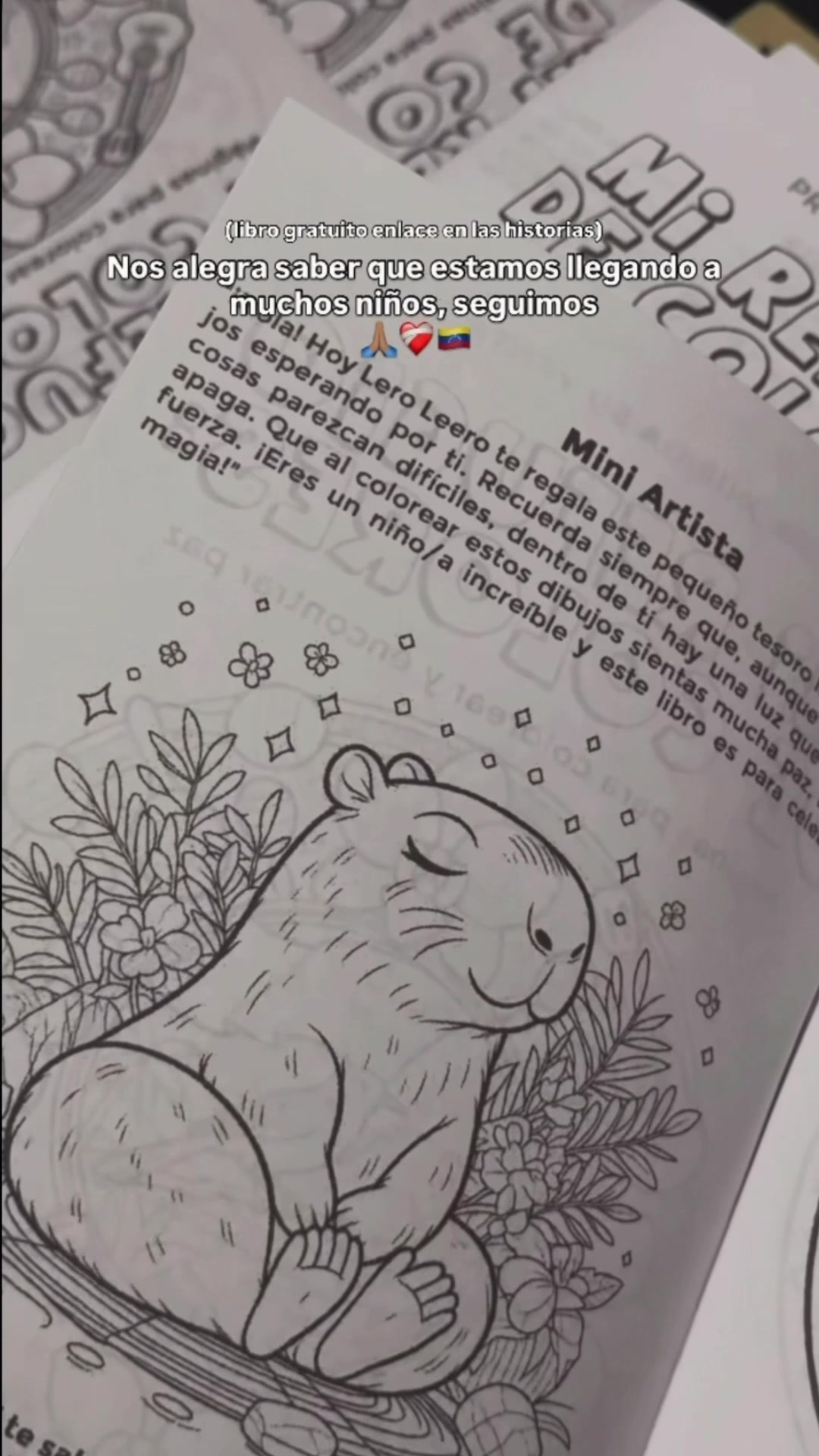 @sofiarodriguezve