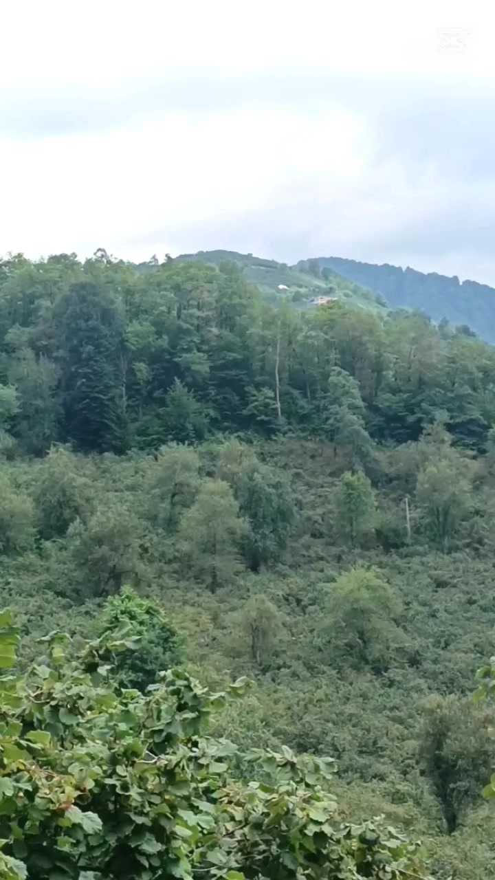 @yusuf__7221