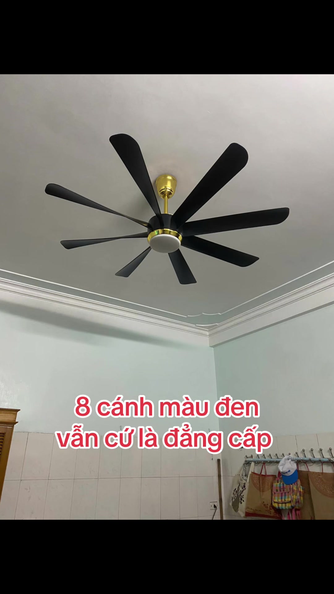 @VUA$QUẠT