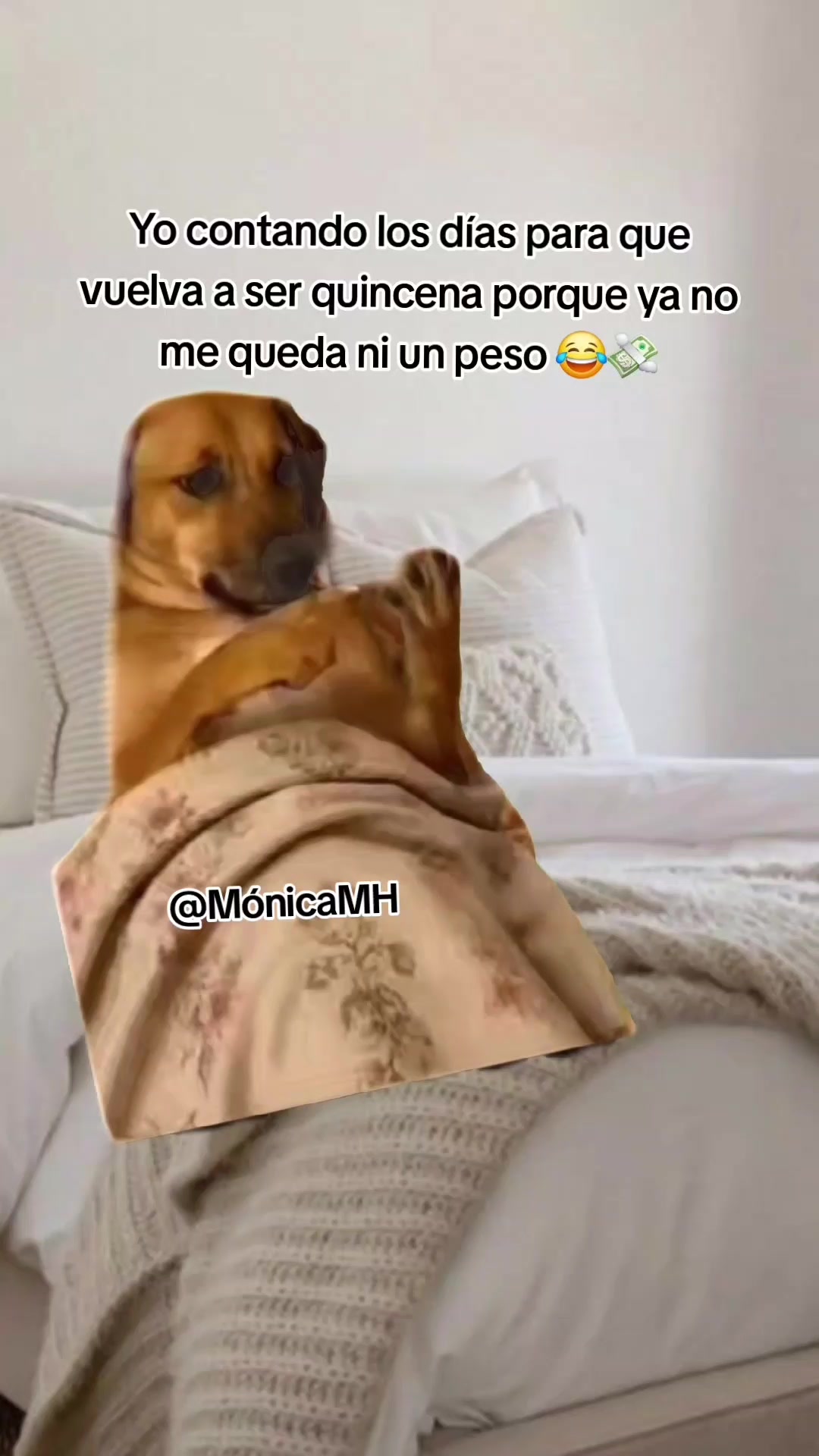 @Mónica MH