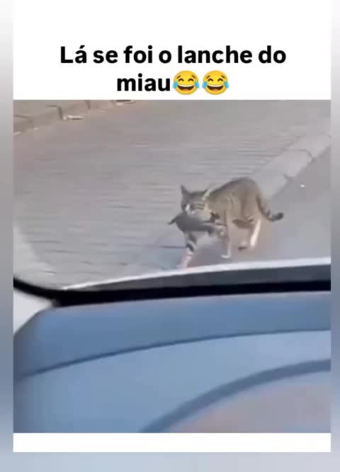 @TOP VIDEOS