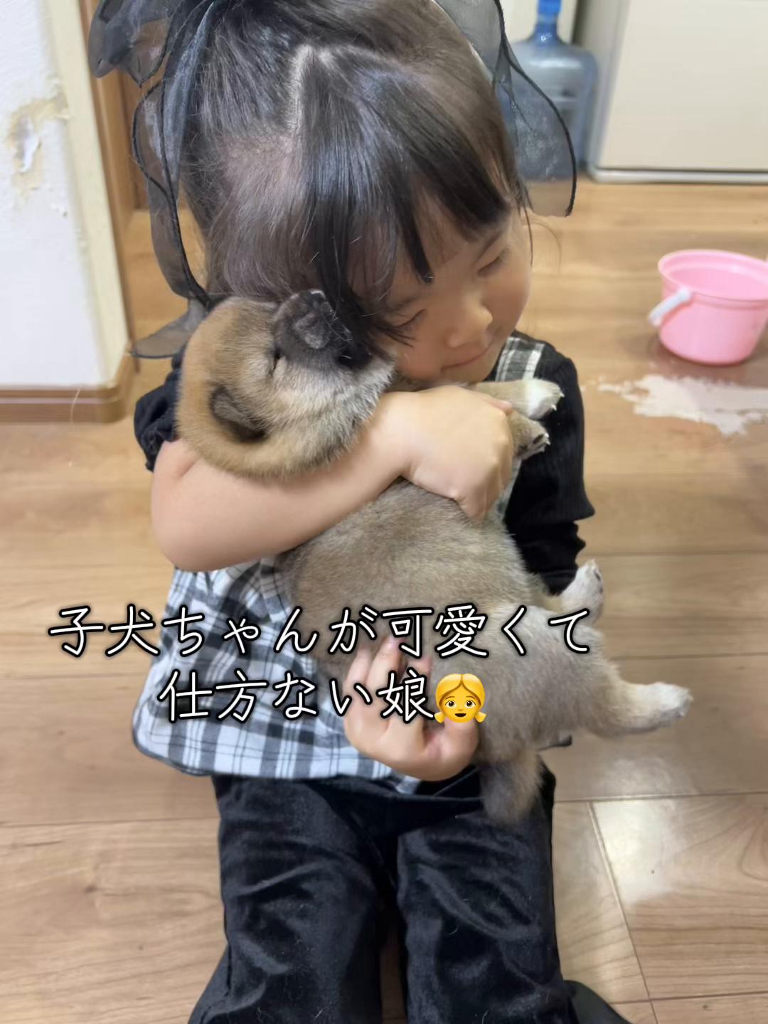 @シャクレ犬