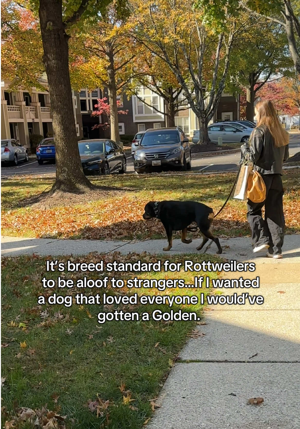 @Mia the Rottie