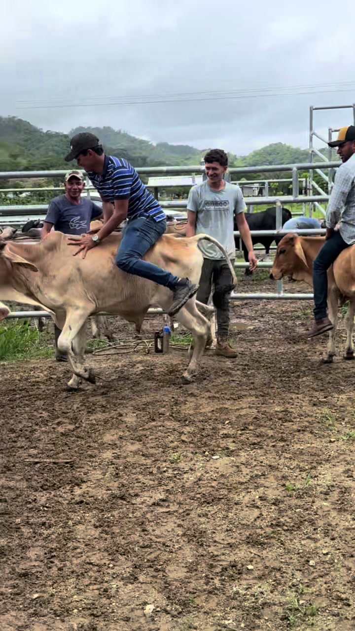 @Julio Chávez