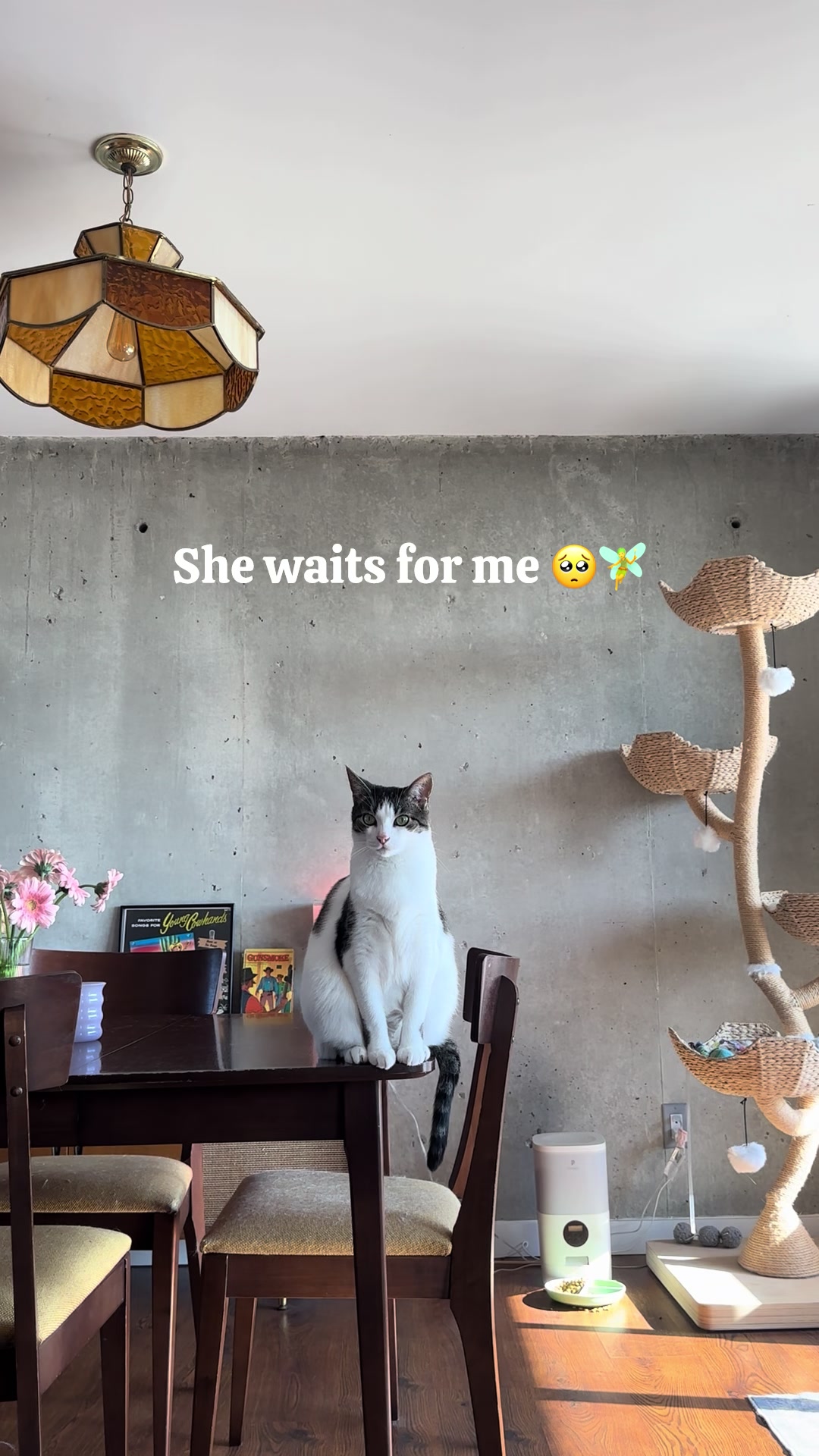 @Lil&rsquo; Ivy & Lux 🧚🌱🩵