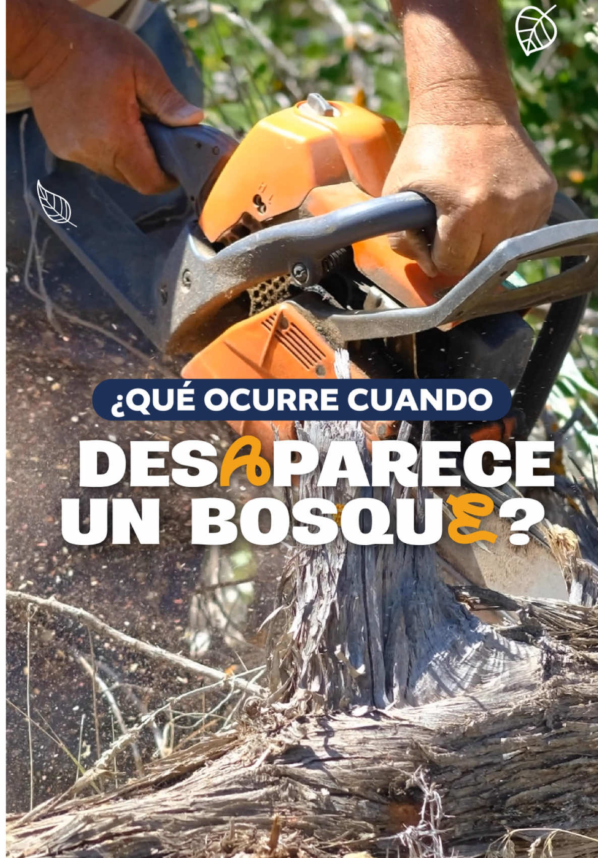 @Ministerio de Ambiente GT