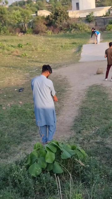 @zamirkhan9527