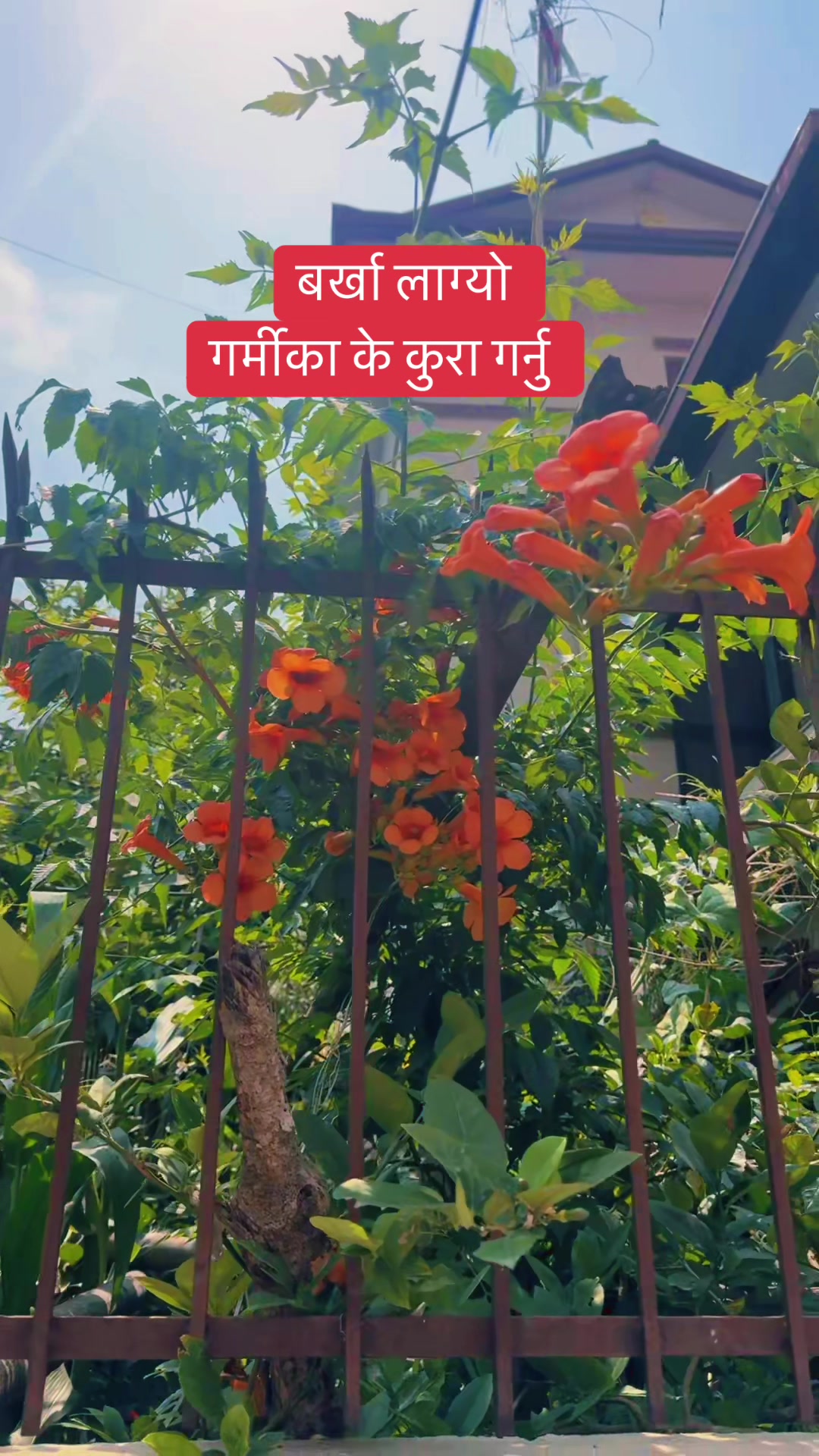 @Gyanendra Raj Sharma