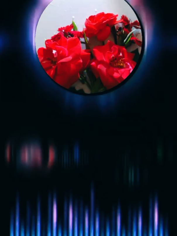 @Nico Fernandes 88