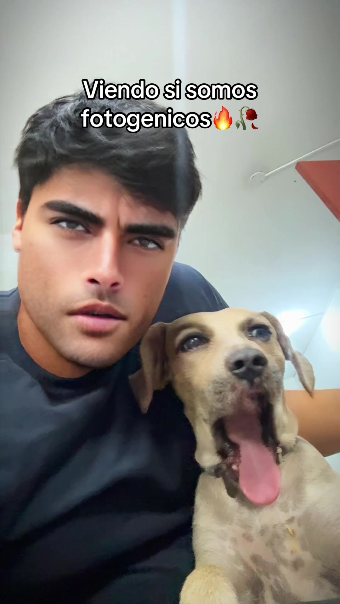 @ElPapucho