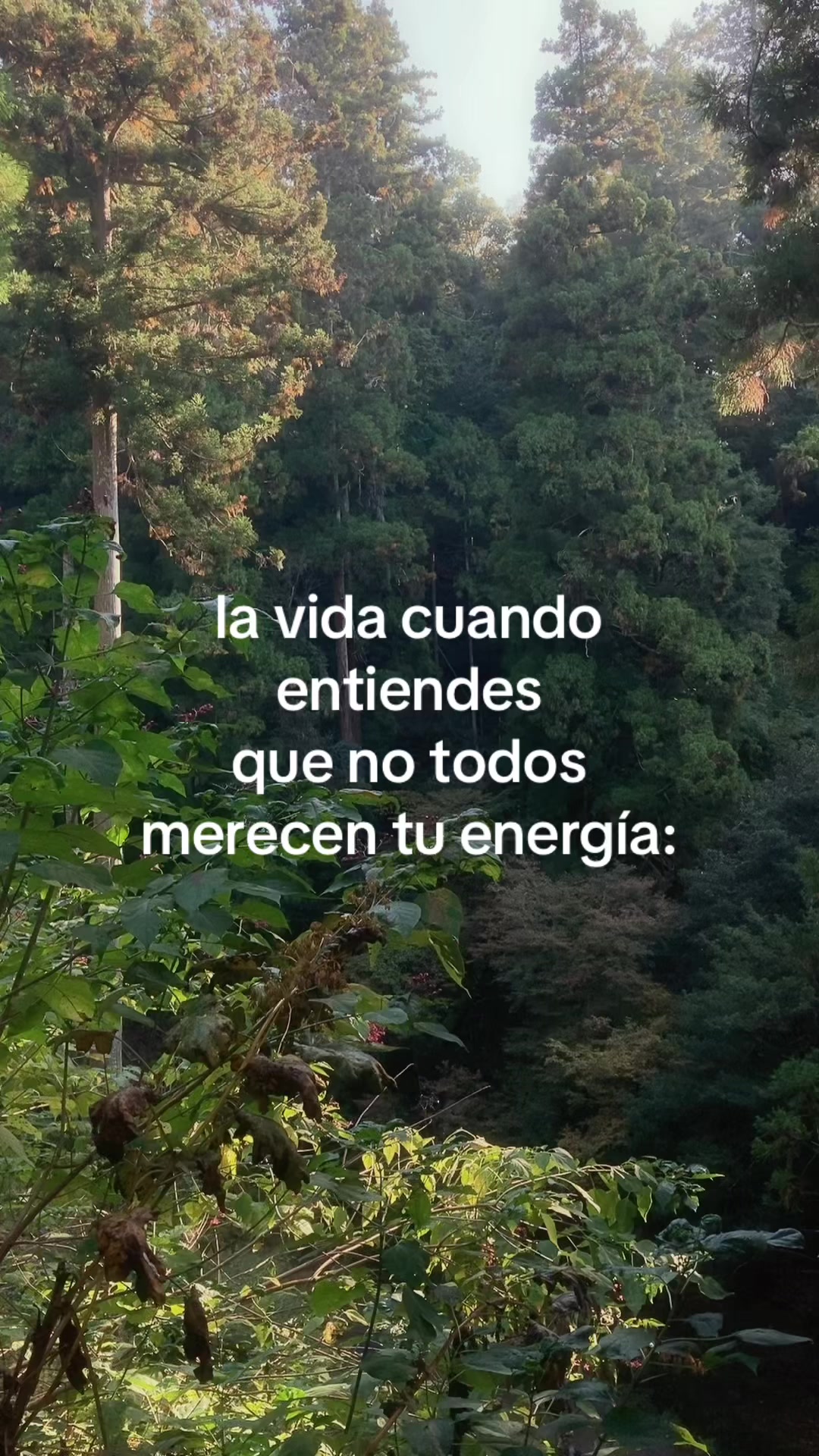 @CaracolArchives