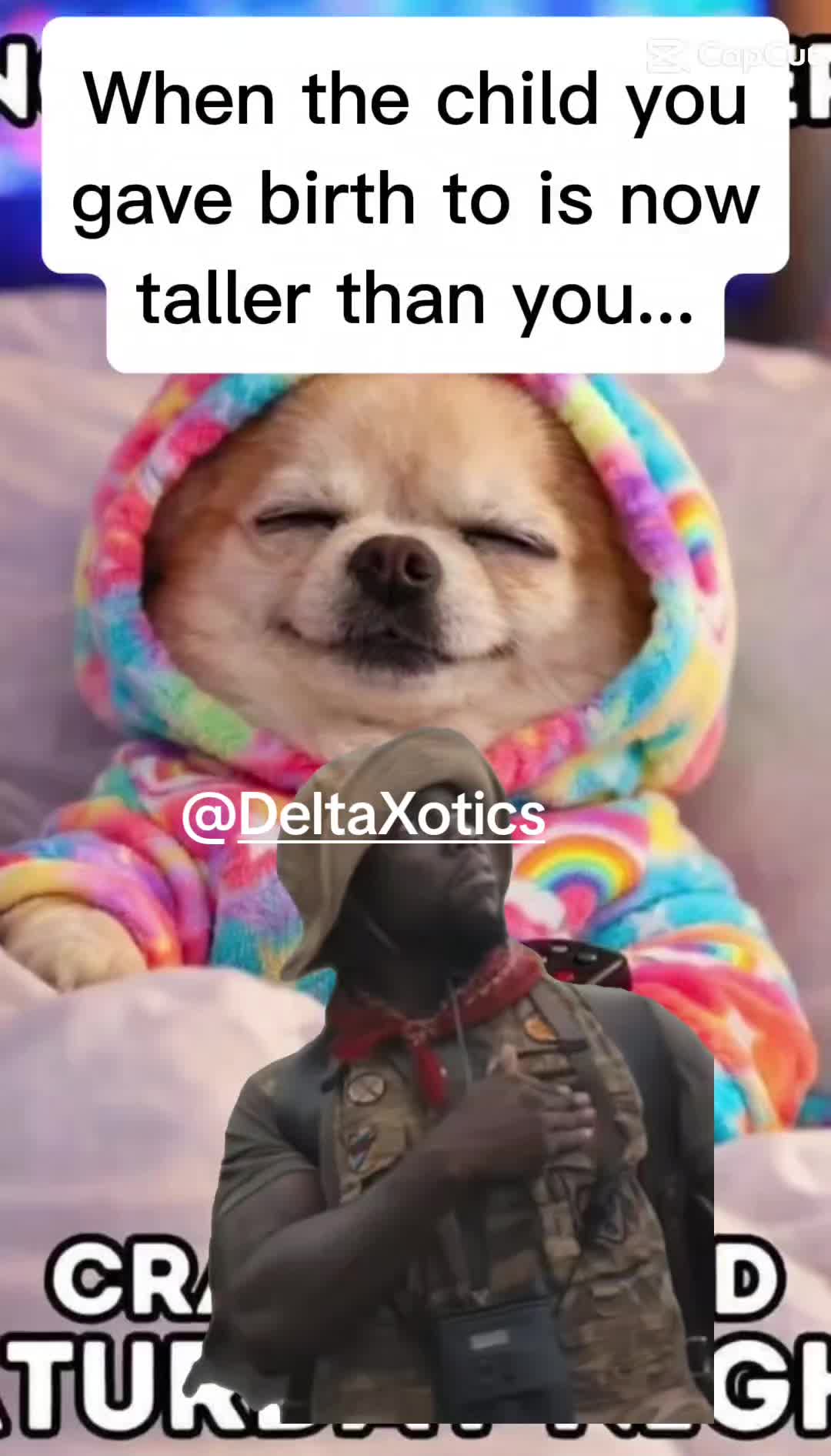 @Stitch and Angel Jeep