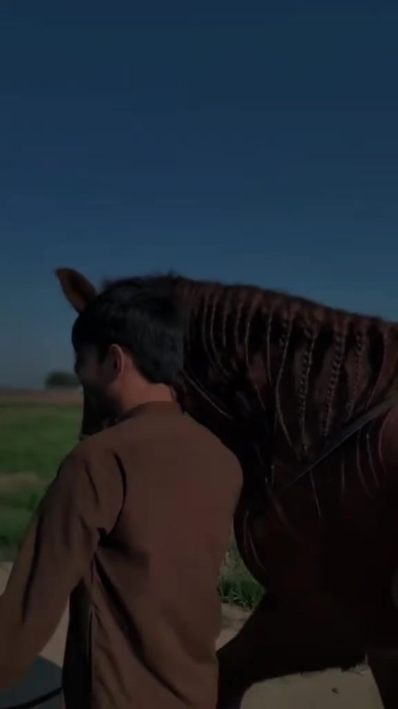 @مرکزی ذوالجناح تلہ گنگ