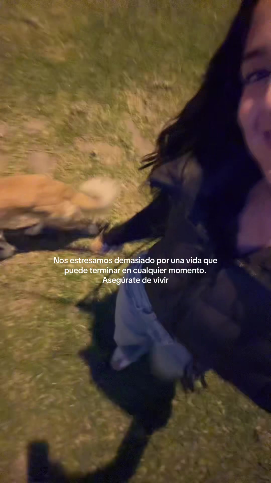 @Alexandra Valdivia